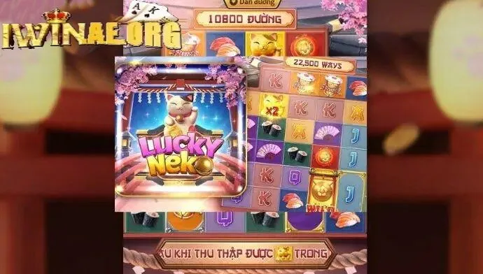 Những thắc mắc thường gặp về Neko May Mắn 